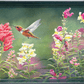 Summer fiesta Acrylic Wall Art & Home Decor
