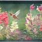 Summer fiesta Acrylic Wall Art & Home Decor