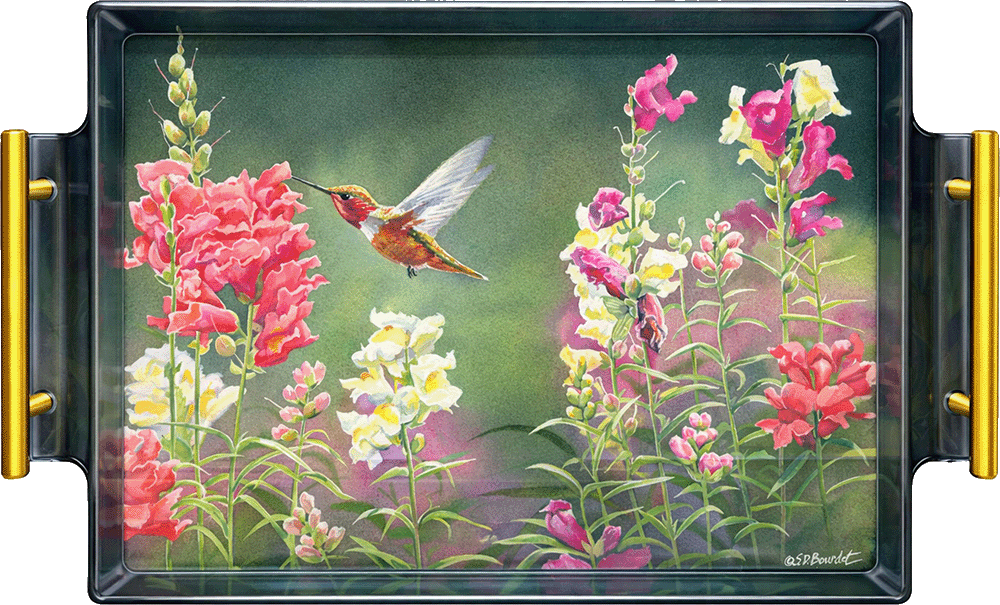 Summer fiesta Acrylic Wall Art & Home Decor