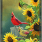 Sunny Side Up - Cardinals Acrylic Wall Art & Home Decor