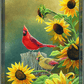 Sunny Side Up - Cardinals Acrylic Wall Art & Home Decor