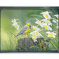 Wait for the Song Acrylic Wall Art & Home Decor