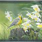 Wait for the Song Acrylic Wall Art & Home Decor