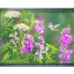 White Sweet Pea Humming Bird Acrylic Wall Art & Home Decor