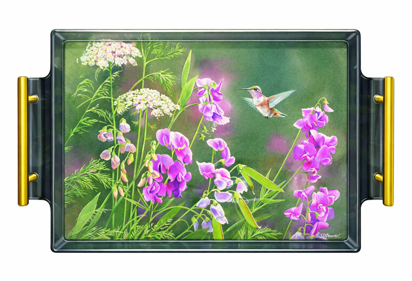 White Sweet Pea Humming Bird Acrylic Wall Art & Home Decor