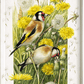 Wishing for a Goldfinch Acrylic Wall Art & Home Decor