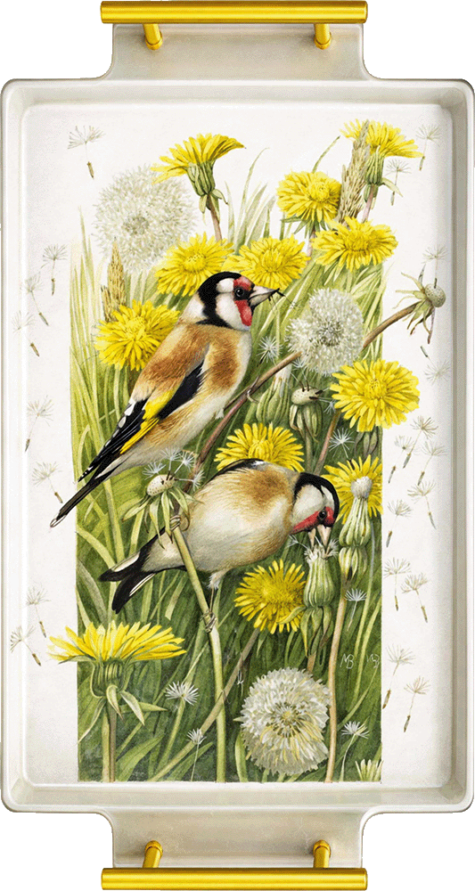 Wishing for a Goldfinch Acrylic Wall Art & Home Decor