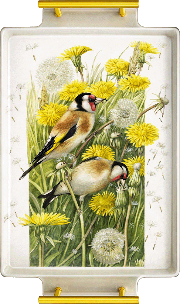 Wishing for a Goldfinch Acrylic Wall Art & Home Decor