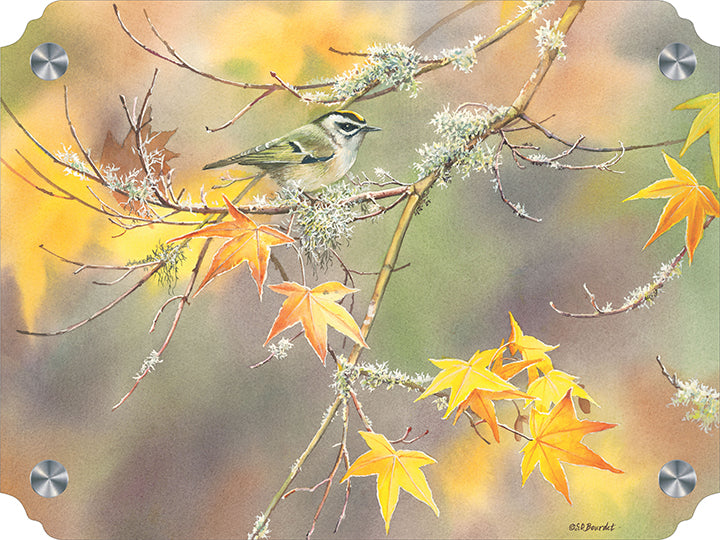 A Kinglet's Gold Acrylic Wall Art & Home Decor