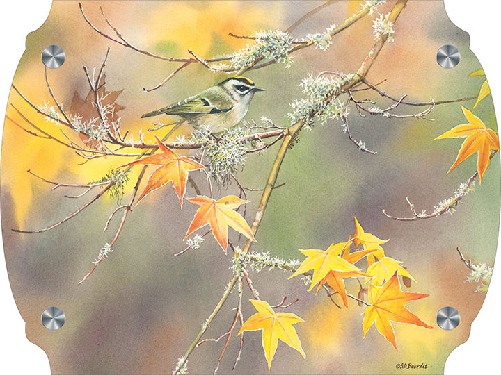 A Kinglet's Gold Acrylic Wall Art & Home Decor
