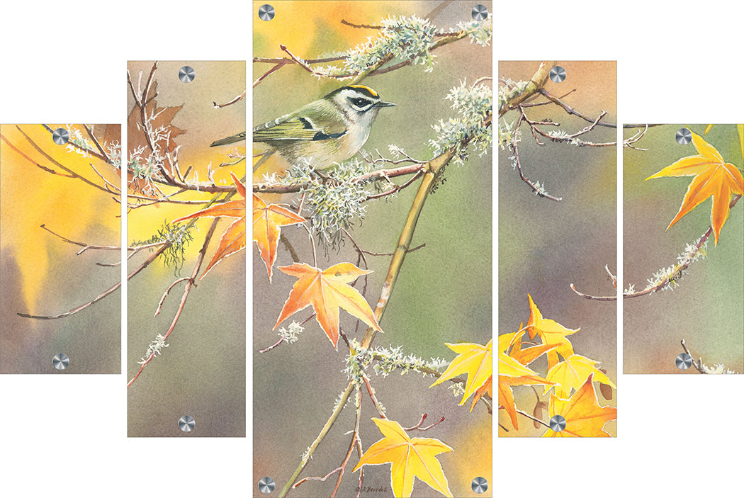 A Kinglet's Gold Acrylic Wall Art & Home Decor