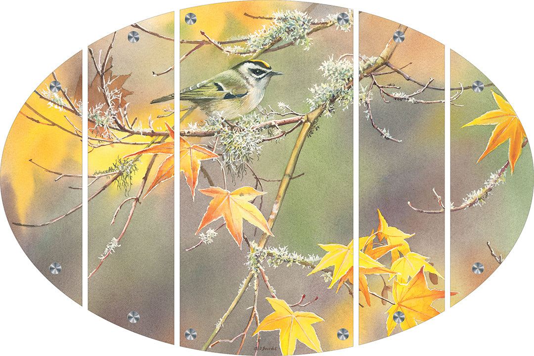 A Kinglet's Gold Acrylic Wall Art & Home Decor