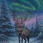 A Reindeer's Finery Acrylic Wall Art & Home Decor