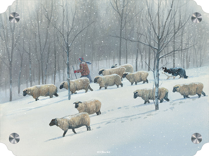 Ahead of the blizzard - Sheep Acrylic Wall Art & Home Decor