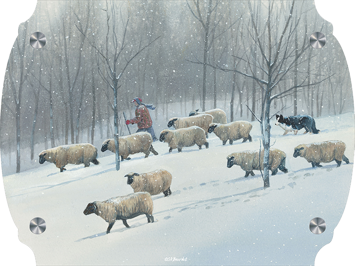 Ahead of the blizzard - Sheep Acrylic Wall Art & Home Decor