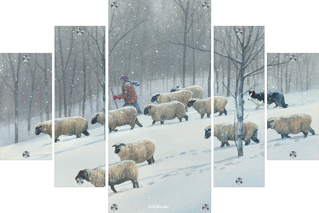 Ahead of the blizzard - Sheep Acrylic Wall Art & Home Decor