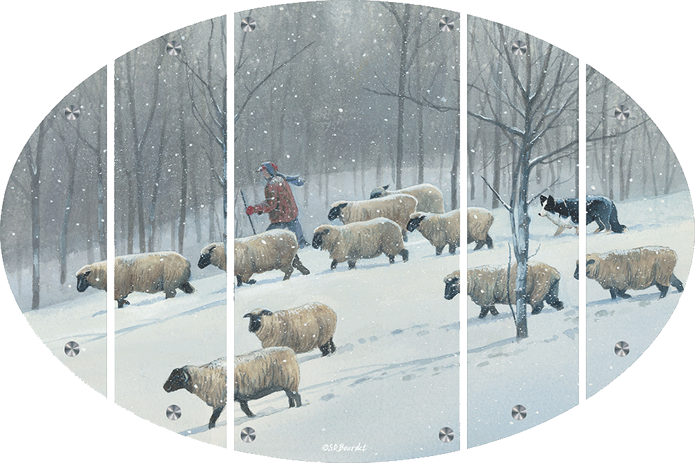 Ahead of the blizzard - Sheep Acrylic Wall Art & Home Decor