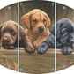All Hands on Deck Acrylic Wall Art & Home Decor