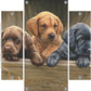 All Hands on Deck Acrylic Wall Art & Home Decor