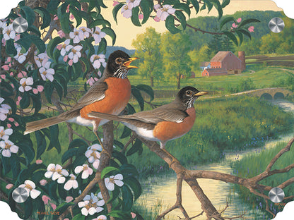 Apple Blossom Time - Robins Acrylic Wall Art & Home Decor
