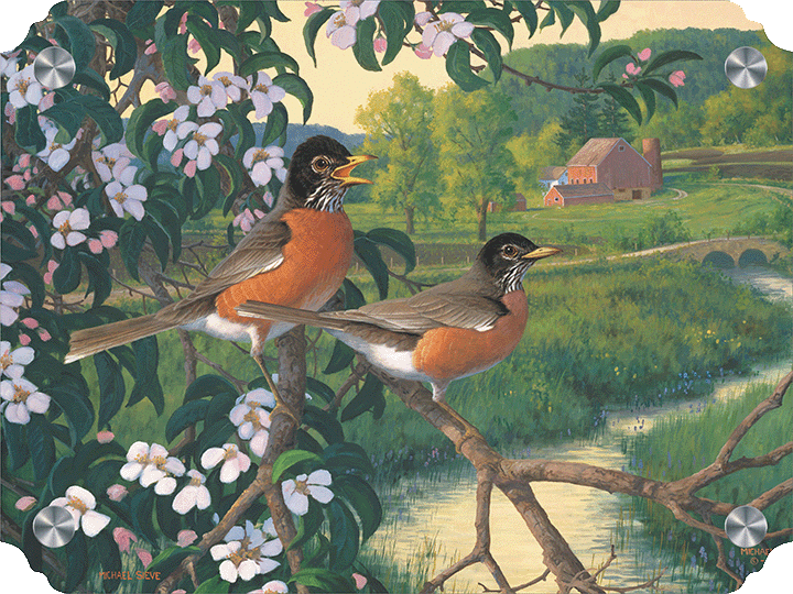 Apple Blossom Time - Robins Acrylic Wall Art & Home Decor