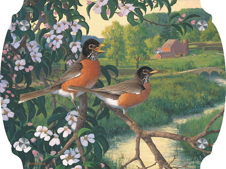Apple Blossom Time - Robins Acrylic Wall Art & Home Decor