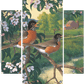 Apple Blossom Time - Robins Acrylic Wall Art & Home Decor