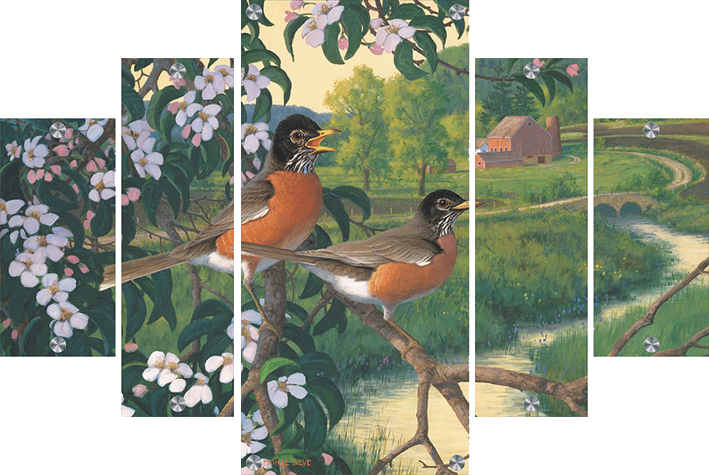 Apple Blossom Time - Robins Acrylic Wall Art & Home Decor
