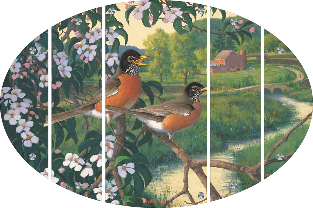 Apple Blossom Time - Robins Acrylic Wall Art & Home Decor