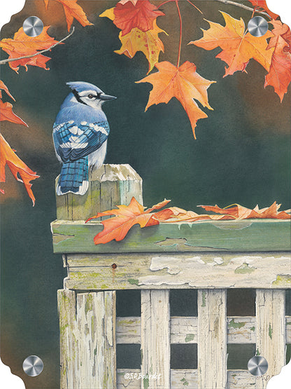 Autumn Splendor Blue Jay Acrylic Wall Art & Home Decor