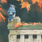 Autumn Splendor Blue Jay Acrylic Wall Art & Home Decor