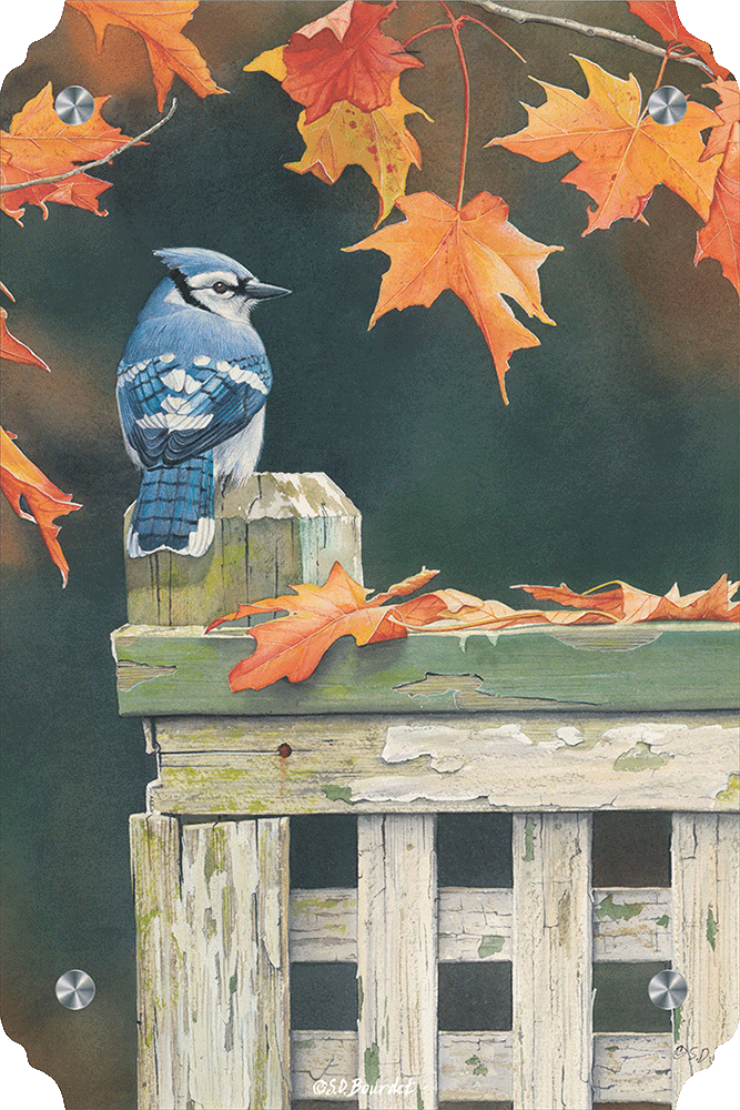Autumn Splendor Blue Jay Acrylic Wall Art & Home Decor