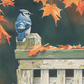 Autumn Splendor Blue Jay Acrylic Wall Art & Home Decor