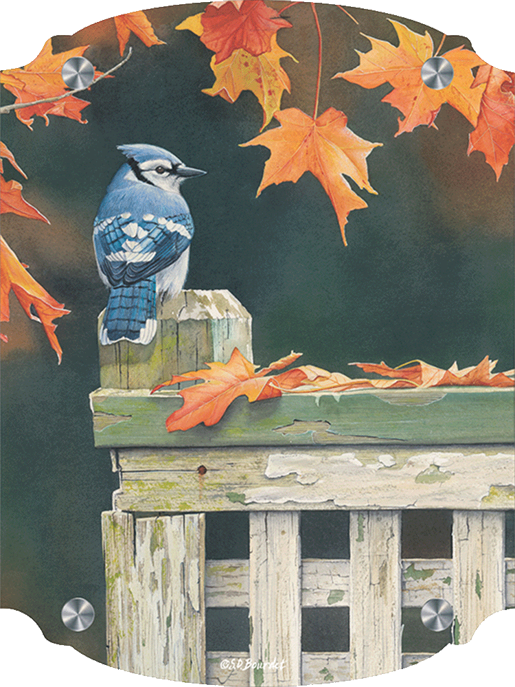 Autumn Splendor Blue Jay Acrylic Wall Art & Home Decor