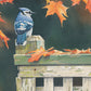 Autumn Splendor Blue Jay Acrylic Wall Art & Home Decor