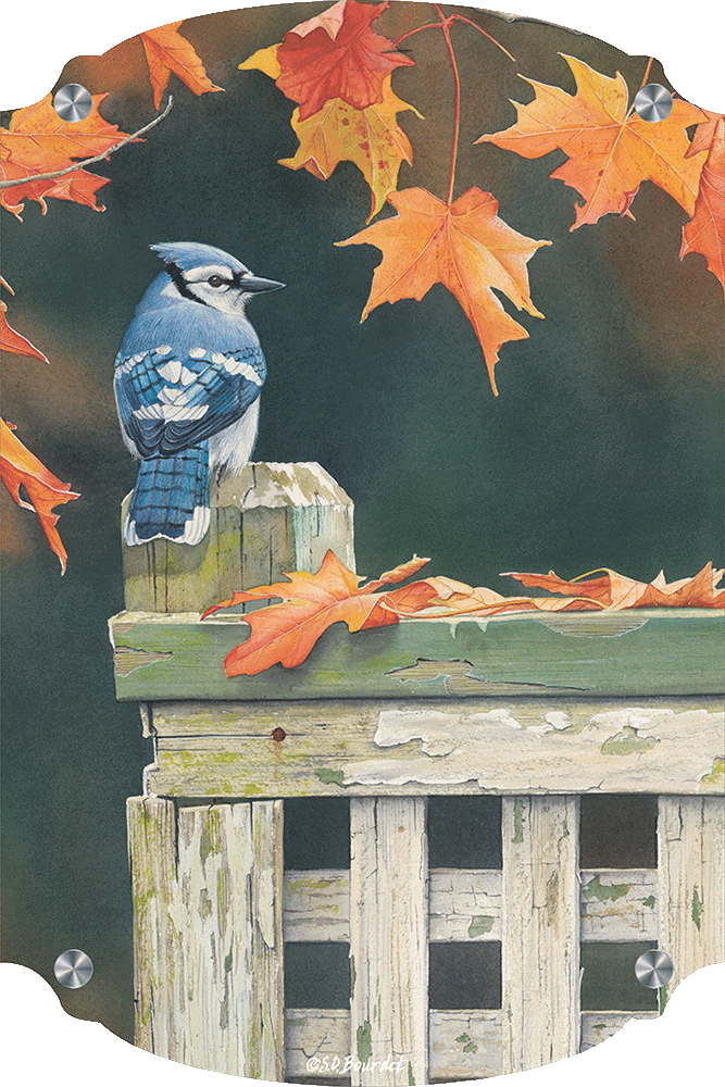 Autumn Splendor Blue Jay Acrylic Wall Art & Home Decor