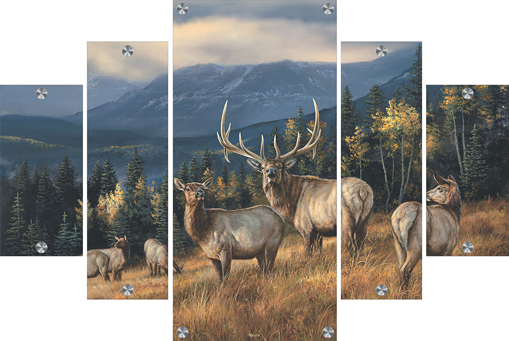 Autumn Gold - Elk Acrylic Wall Art & Home Decor