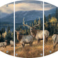 Autumn Gold - Elk Acrylic Wall Art & Home Decor