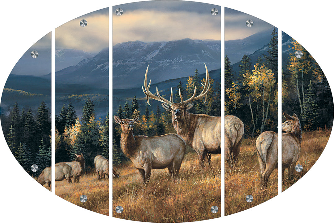 Autumn Gold - Elk Acrylic Wall Art & Home Decor