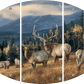 Autumn Gold - Elk Acrylic Wall Art & Home Decor