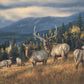 Autumn Gold - Elk Acrylic Wall Art & Home Decor