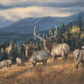 Autumn Gold - Elk Acrylic Wall Art & Home Decor