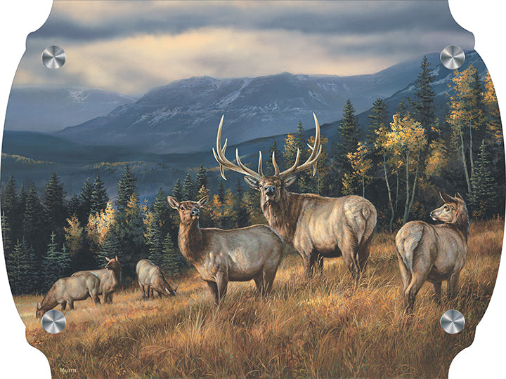 Autumn Gold - Elk Acrylic Wall Art & Home Decor