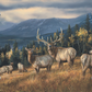 Autumn Gold - Elk Acrylic Wall Art & Home Decor