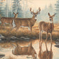 Autumn Reflections - Whitetail Deer Acrylic Wall Art & Home Decor