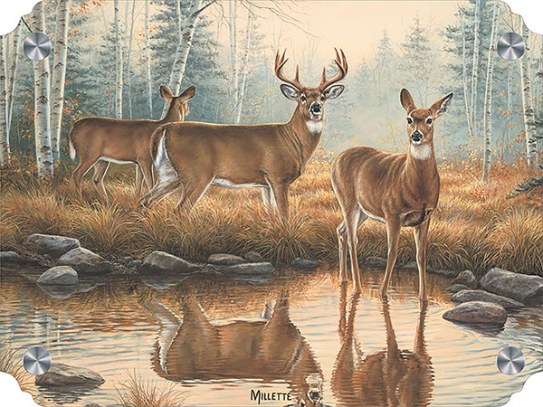 Autumn Reflections - Whitetail Deer Acrylic Wall Art & Home Decor