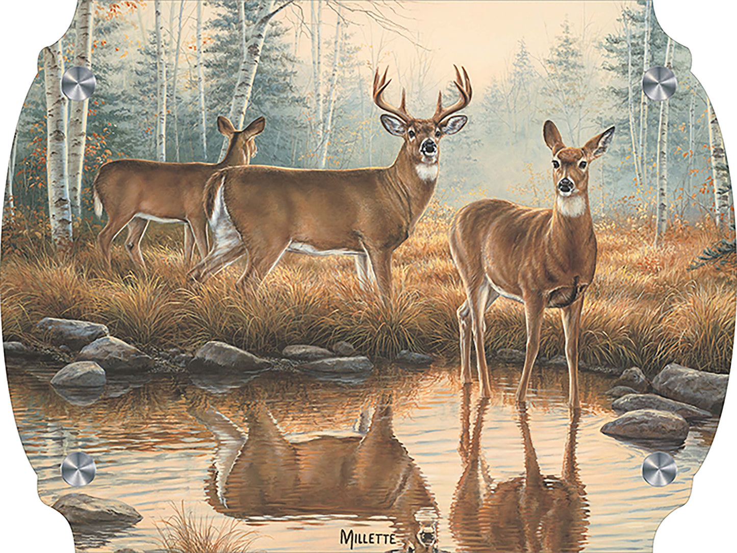Autumn Reflections - Whitetail Deer Acrylic Wall Art & Home Decor