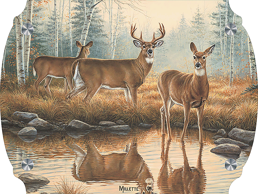 Autumn Reflections - Whitetail Deer Acrylic Wall Art & Home Decor