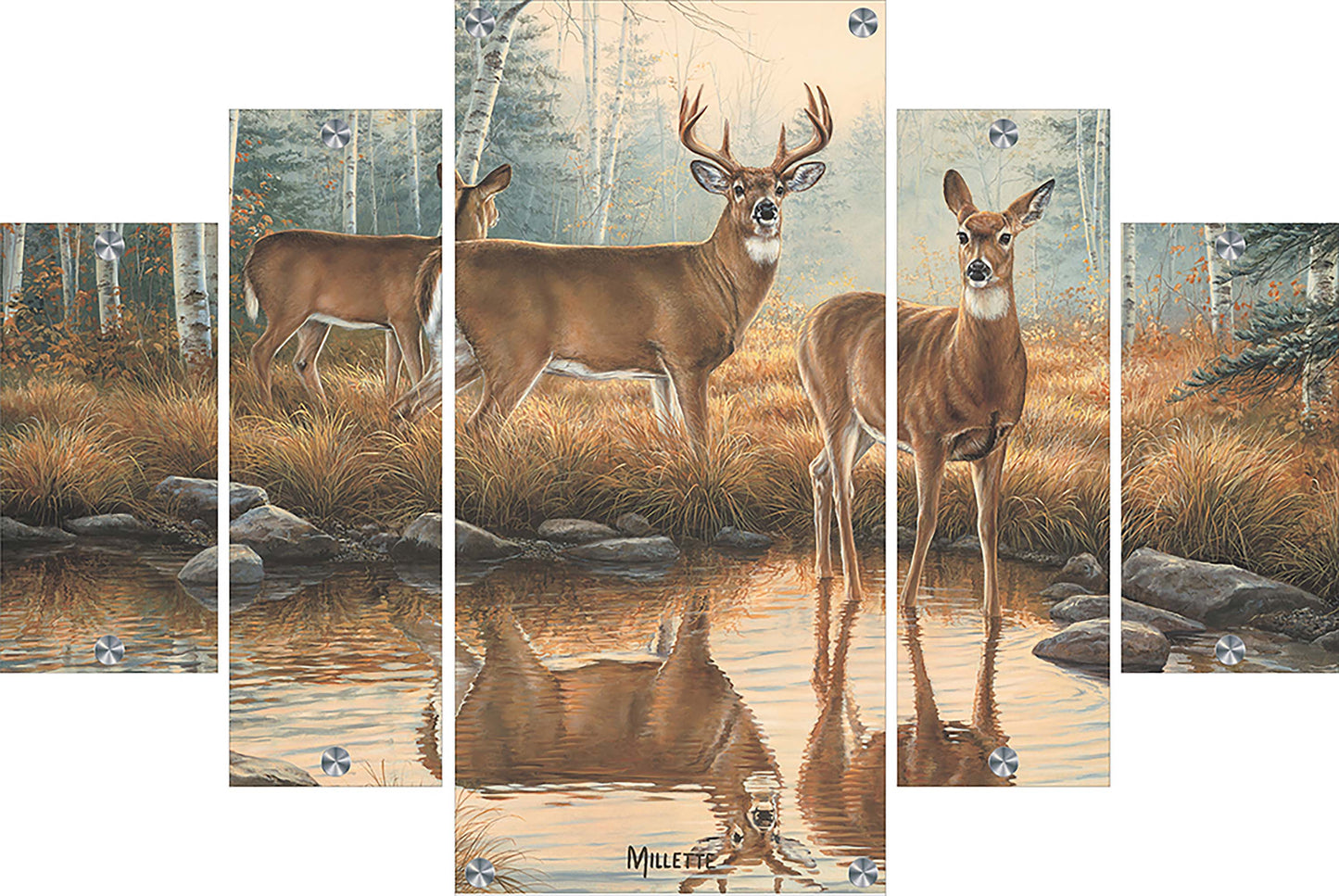 Autumn Reflections - Whitetail Deer Acrylic Wall Art & Home Decor