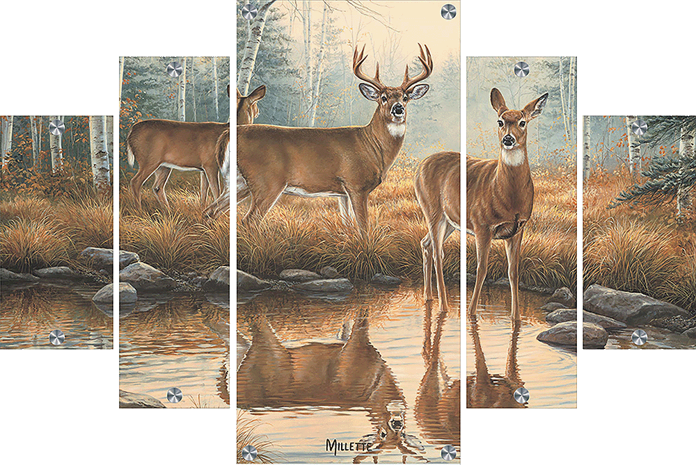 Autumn Reflections - Whitetail Deer Acrylic Wall Art & Home Decor